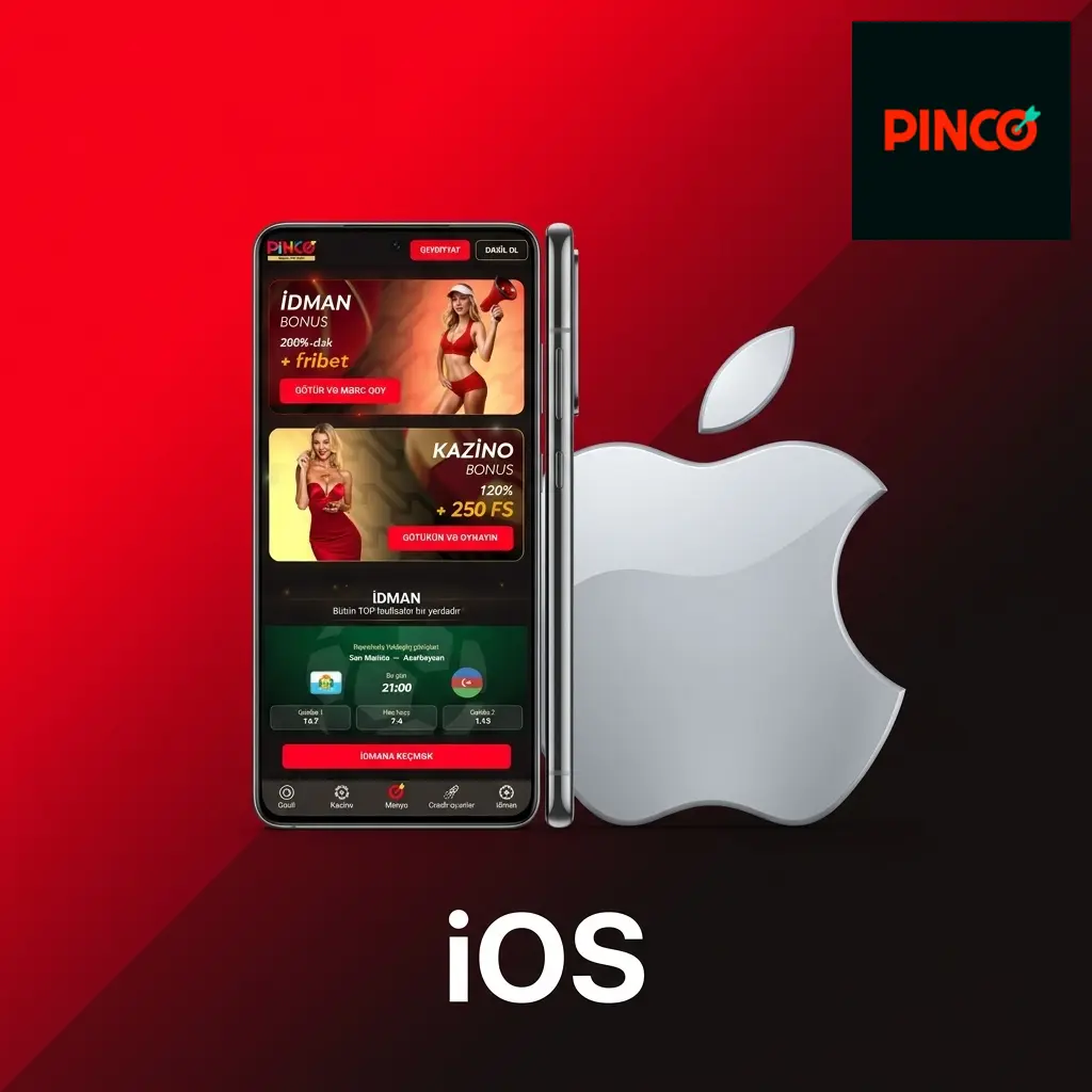 Pinco iOS üçün Safari-də mobil veb versiyanı əsas ekrana əlavə etmə təlimatı